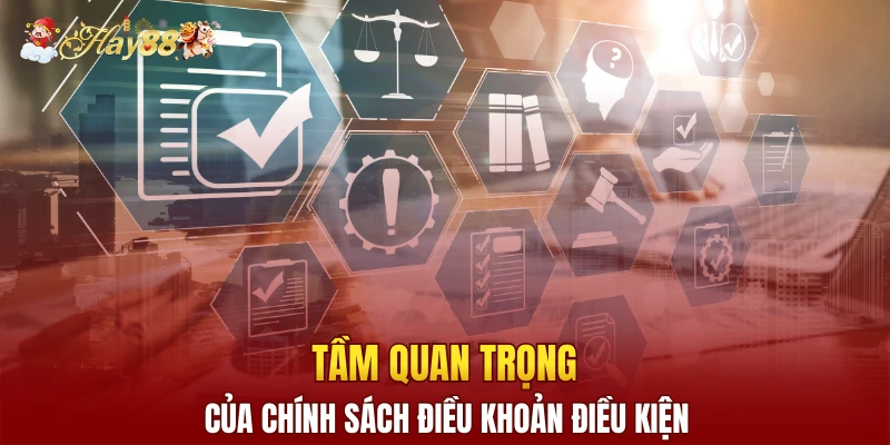 Tầm quan trọng của chính sách điều khoản điều kiện